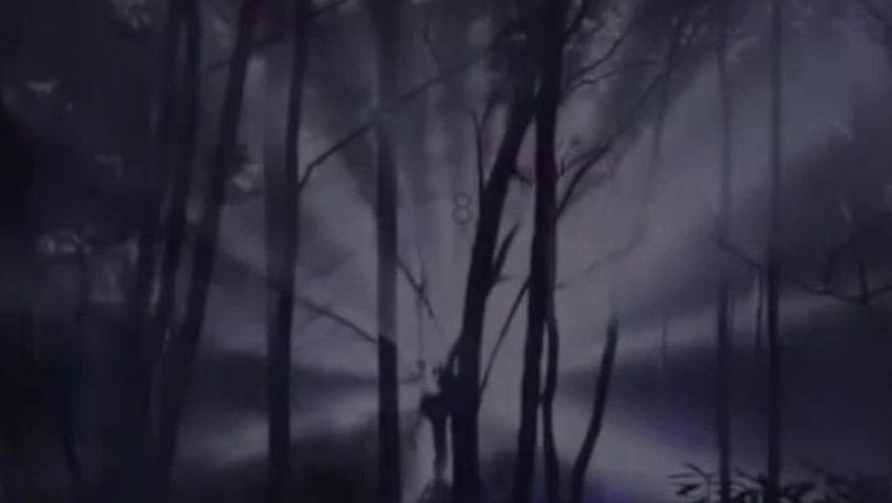 小红帽找不同